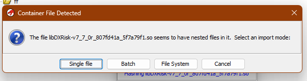 Ghidra Container File Detected